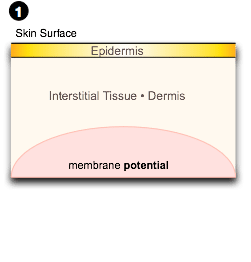 Dr. Haworth skin smoothing