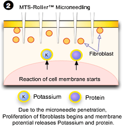 Dr. Haworth skin smoothing